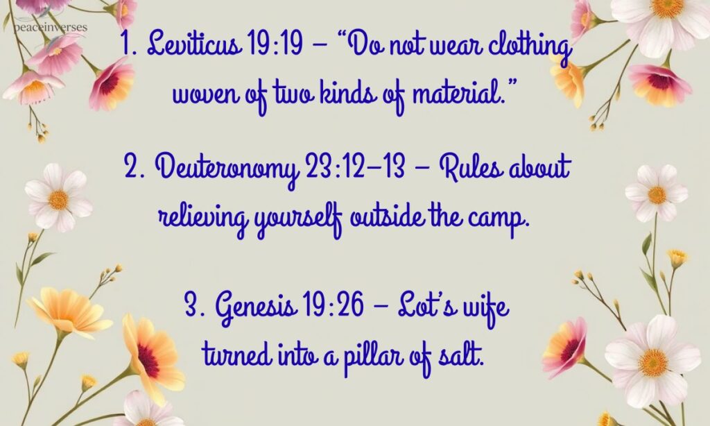 25 Stupidest Bible Quotes (And Why They Sound That Way)