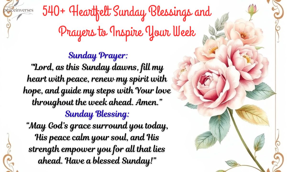 540+ Heartfelt Sunday Blessings and Prayers to Inspire Your Week