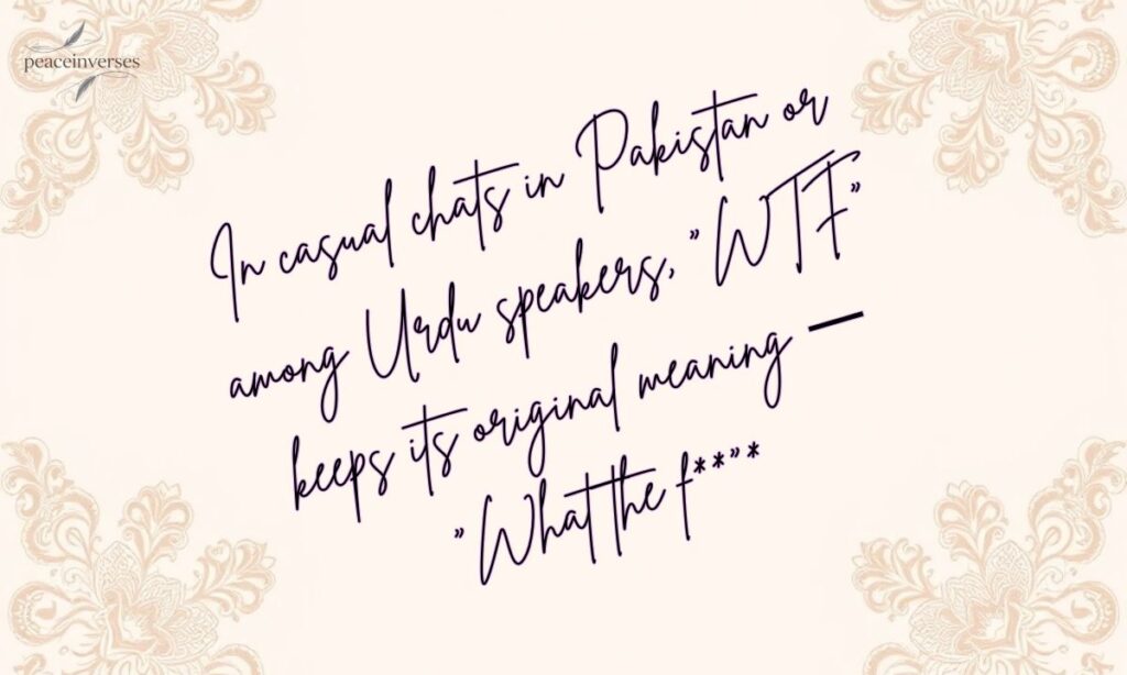 WTF Meaning in Text in Urdu